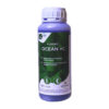 Floorit Ocean +C detergent suprafețe superconcentrat